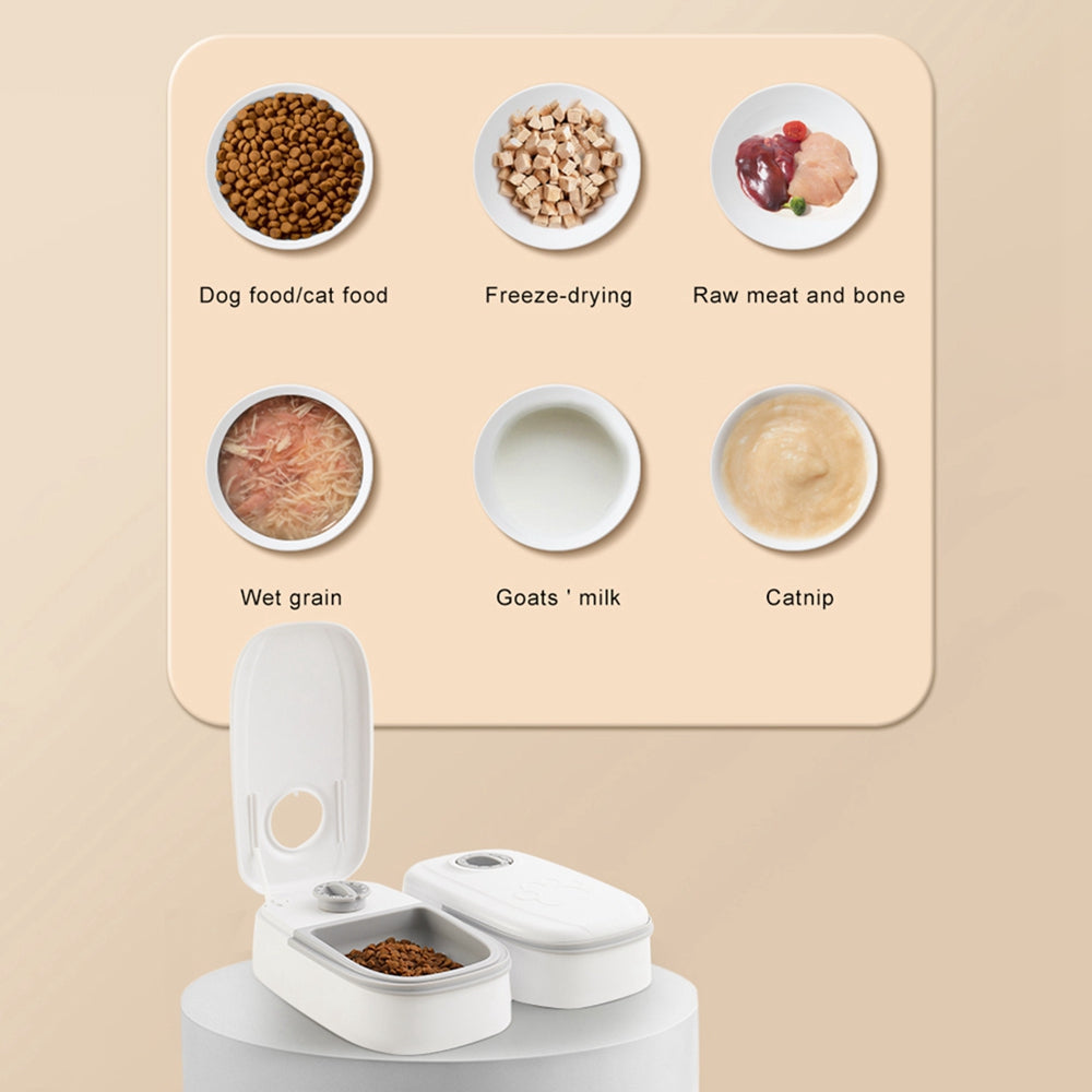 Automatic Timer Feeder