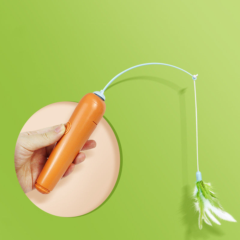 Ball & Carrot Toy